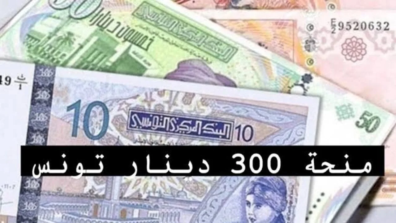 رئيس مصر السيسي يرفض تعديل الدستور ويؤكد انتهاء ولايته عام 2030