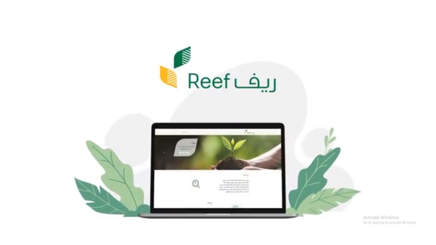 طريقة الاستعلام عن دعم ريف للنساء 1445 وما هي شروط استحقاق الدعم الريفي reef.gov.sa