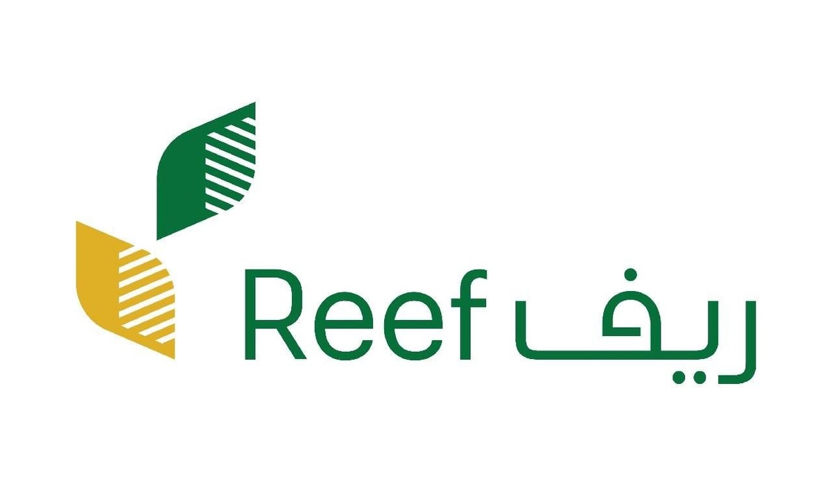 متى يصرف الدعم الريفي لهذا الشهر؟ وما خطوات استعلام ريف برقم الهوية؟ منصة reef.sa تُجيب