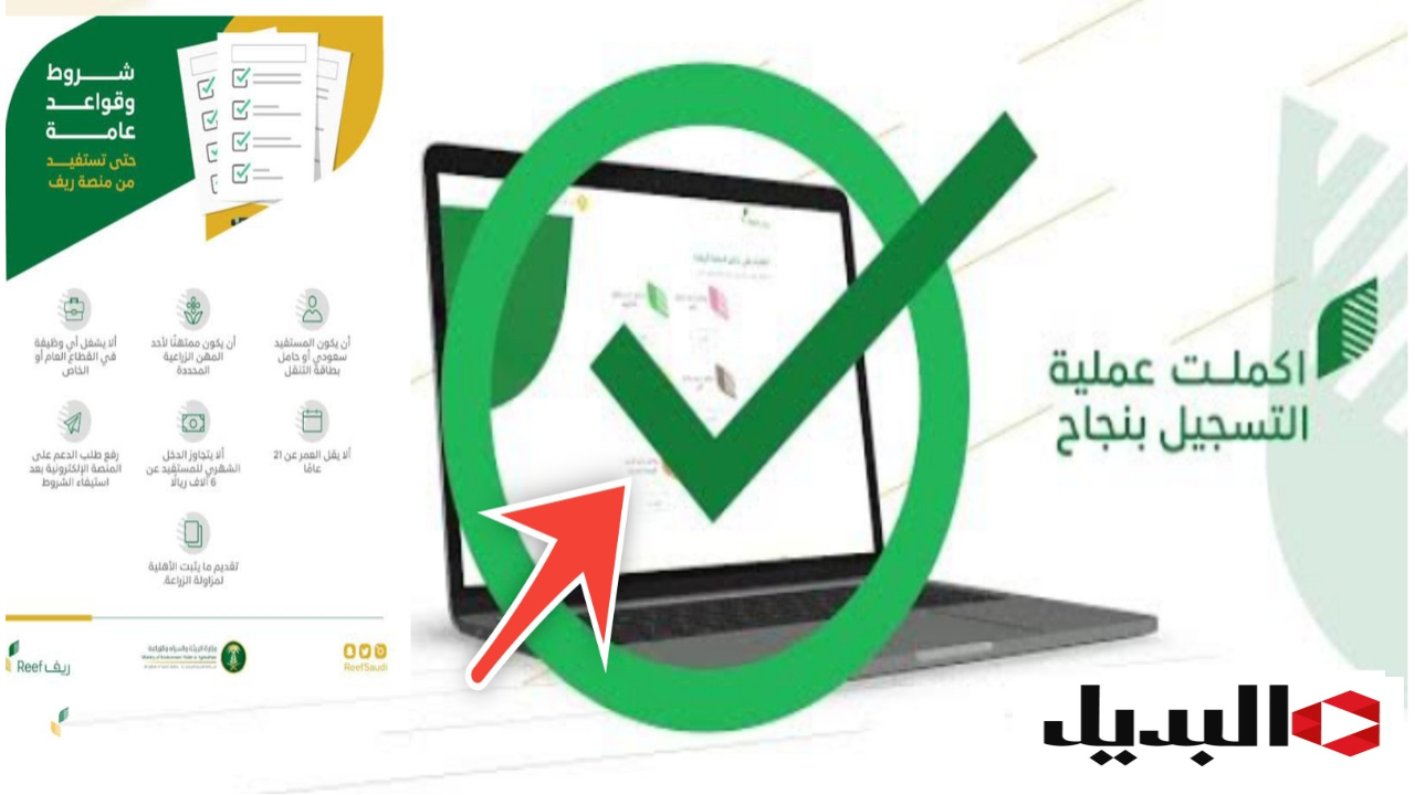 خطوة بخطوة الاستعلام عن دعم عسل ريف وطريقة التسجيل في البرنامج بعد التطوير