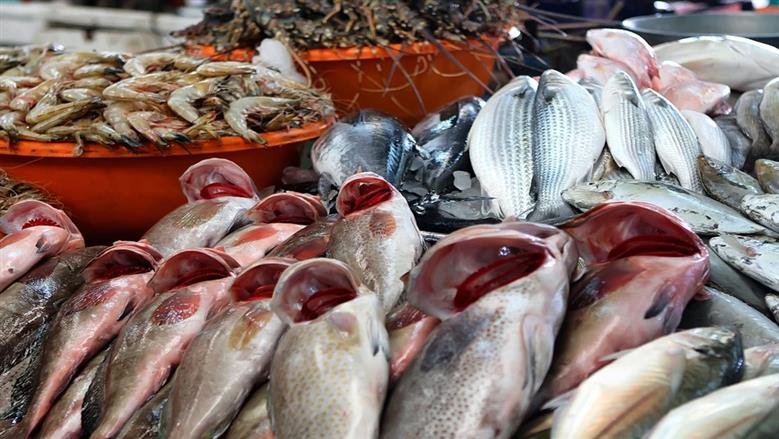 البلطى والمكاريل بأقل سعر انهاردة .. أسعار السمك بتاريخ 7 ديسمبر في سوق العبور 2025